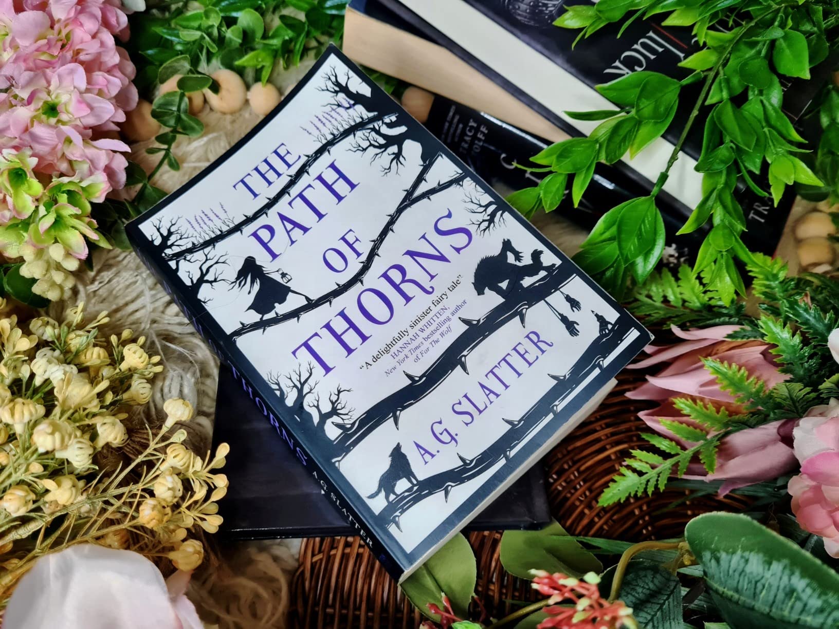 The Path of Thorns eBook Slatter, Angela Books