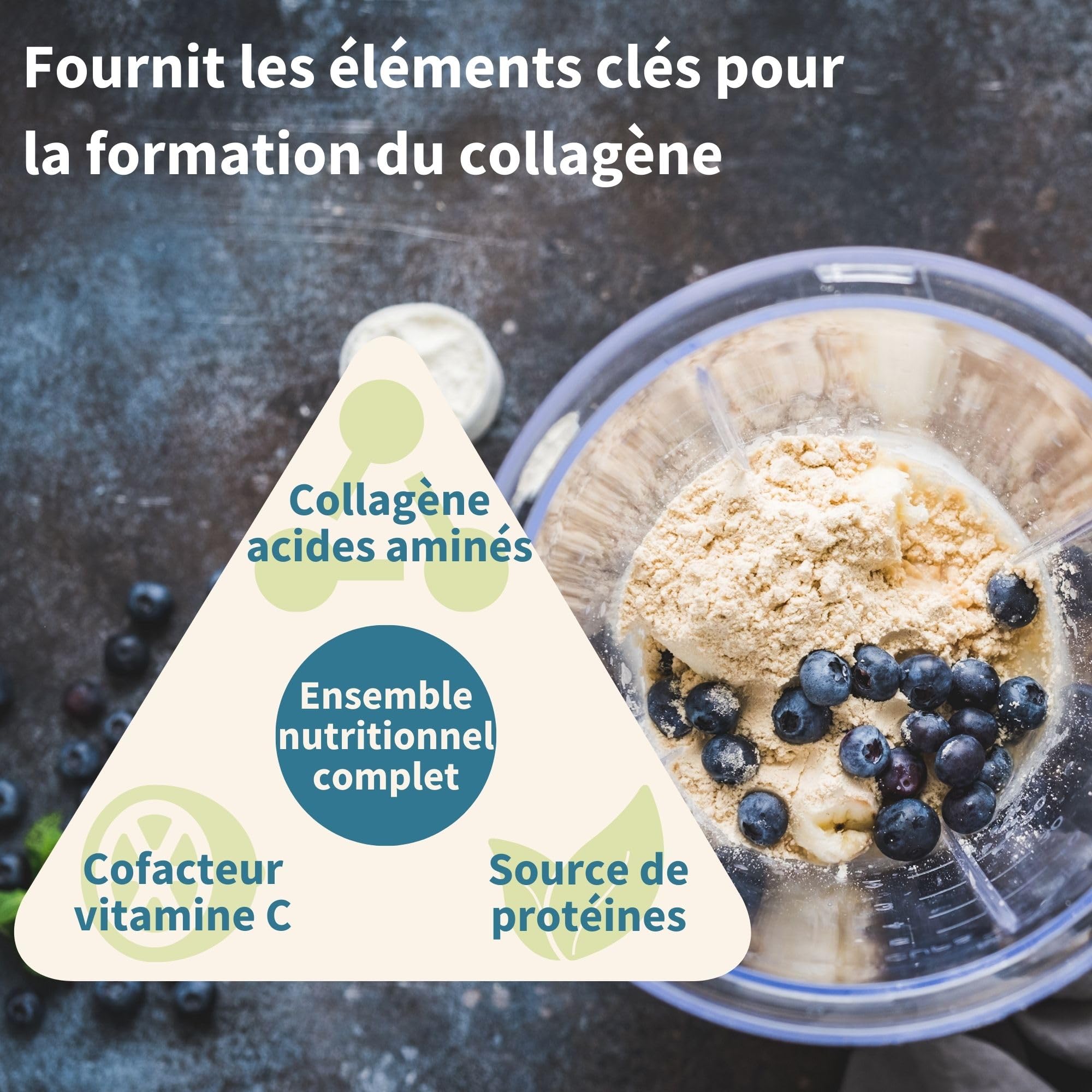 Collagène Vegan en Poudre Avancé avec Vitamine C, 11 g de Protéines, 21 Acides Aminés (y compris Glycine), Peptides de Collagène 100% Végétale, Non Aromatisé, 35 portions – par Igennus