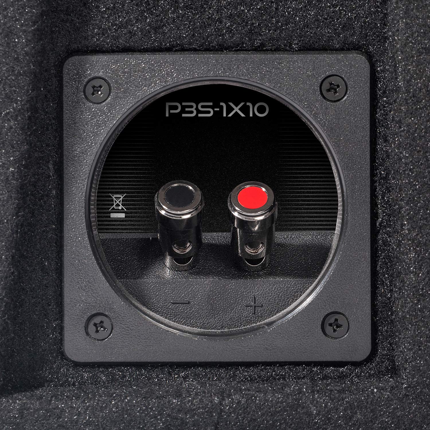 Amazon.com: Rockford Fosgate Punch P3S-1X10 P3S Single 10