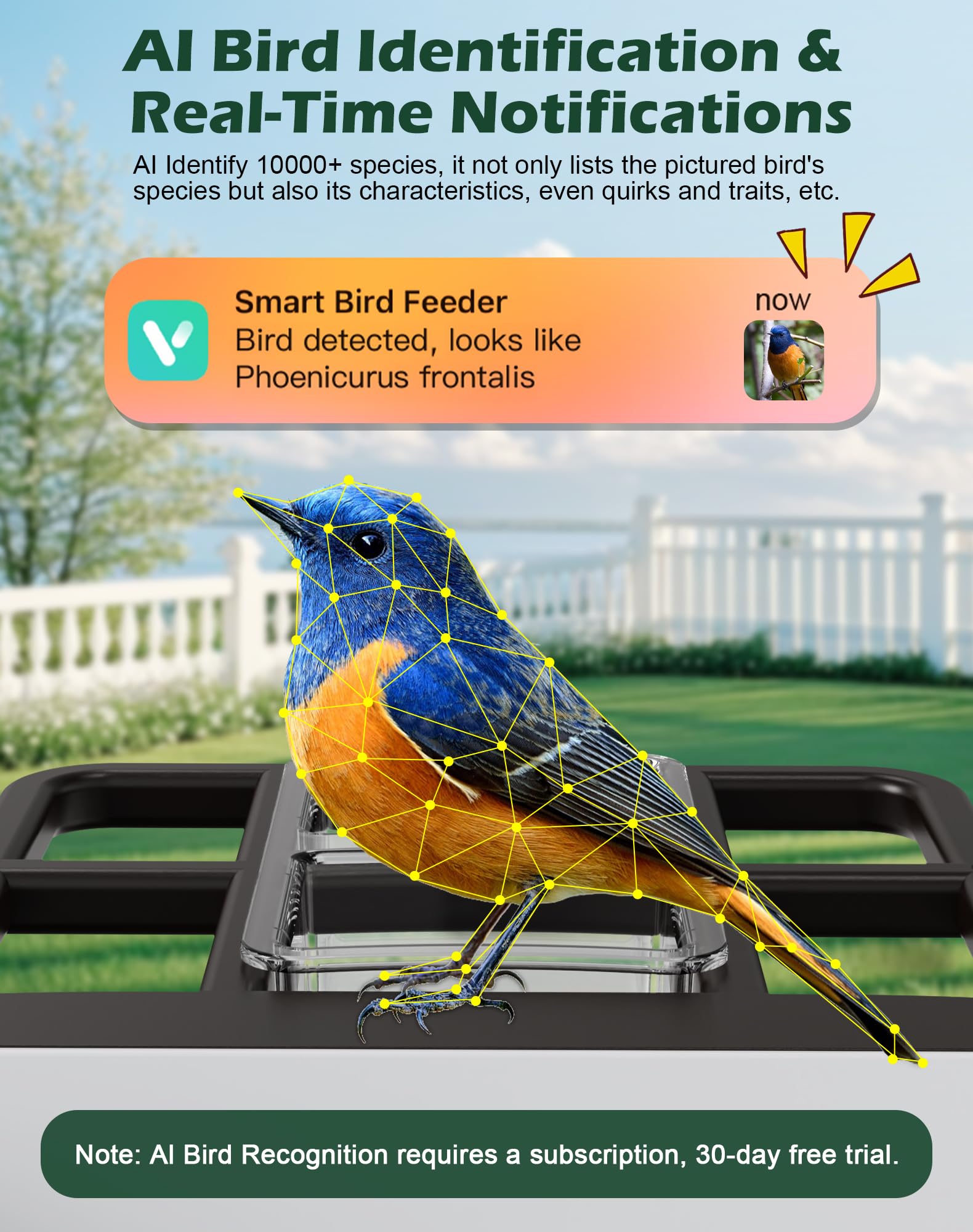 Smart Vogelfutterstation mit Kamera, 5200 mAh Akku mit Solarpanel, 2K native Auflösung Live-Ansicht, KI-Artenidentifizierung, automatische Erfassung und sofortige Ankunftswarnung, ideales Geschenk für