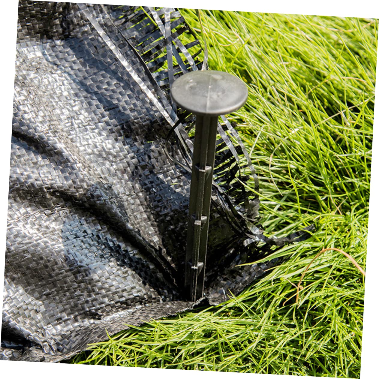 100 Pièces Piquets de Jardin Plastique de Terre pour Fixation Plantes pour Aménagement Paysager Projets de Jardinage
