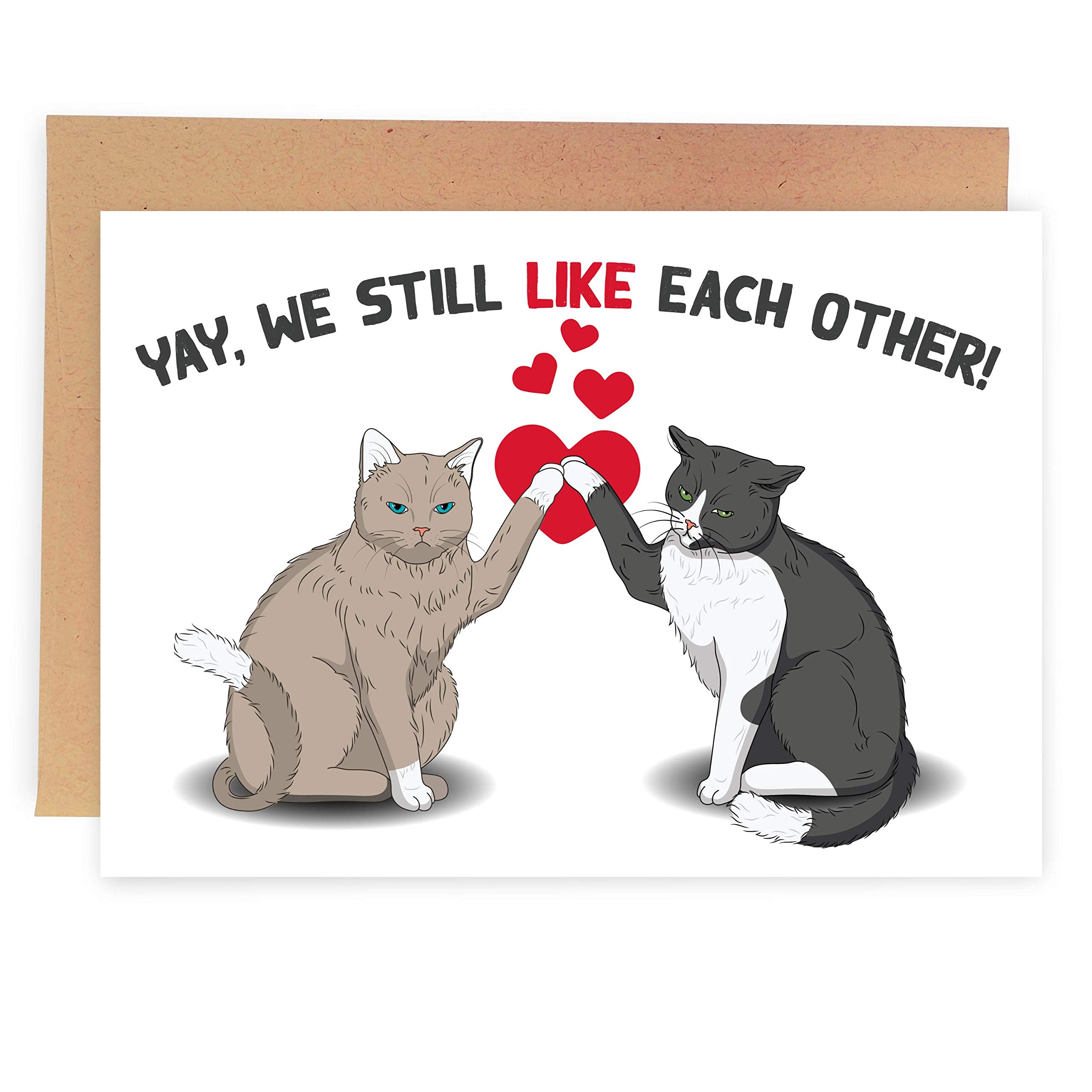 Sleazy Greetings Funny Happy Anniversary Card For Husband Wife Him Her | Sarcastic Cats Valentines Day Card for Wife Him | cat Birthday Card Men Women | We Still Like Each Other Card