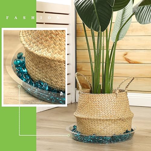 Miniatura 4 de Shellwei Paquete de 18 platillos de plástico de 16 pulgadas, bandejas de goteo extra grandes para macetas transparentes, bandeja de goteo para