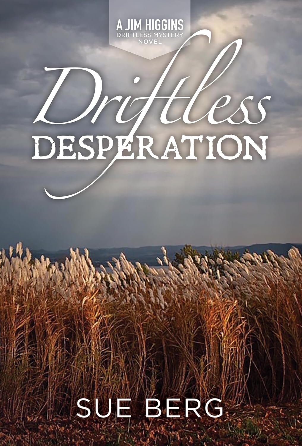Driftless Desperation (A Jim Higgins Driftless Mystery Book 4)