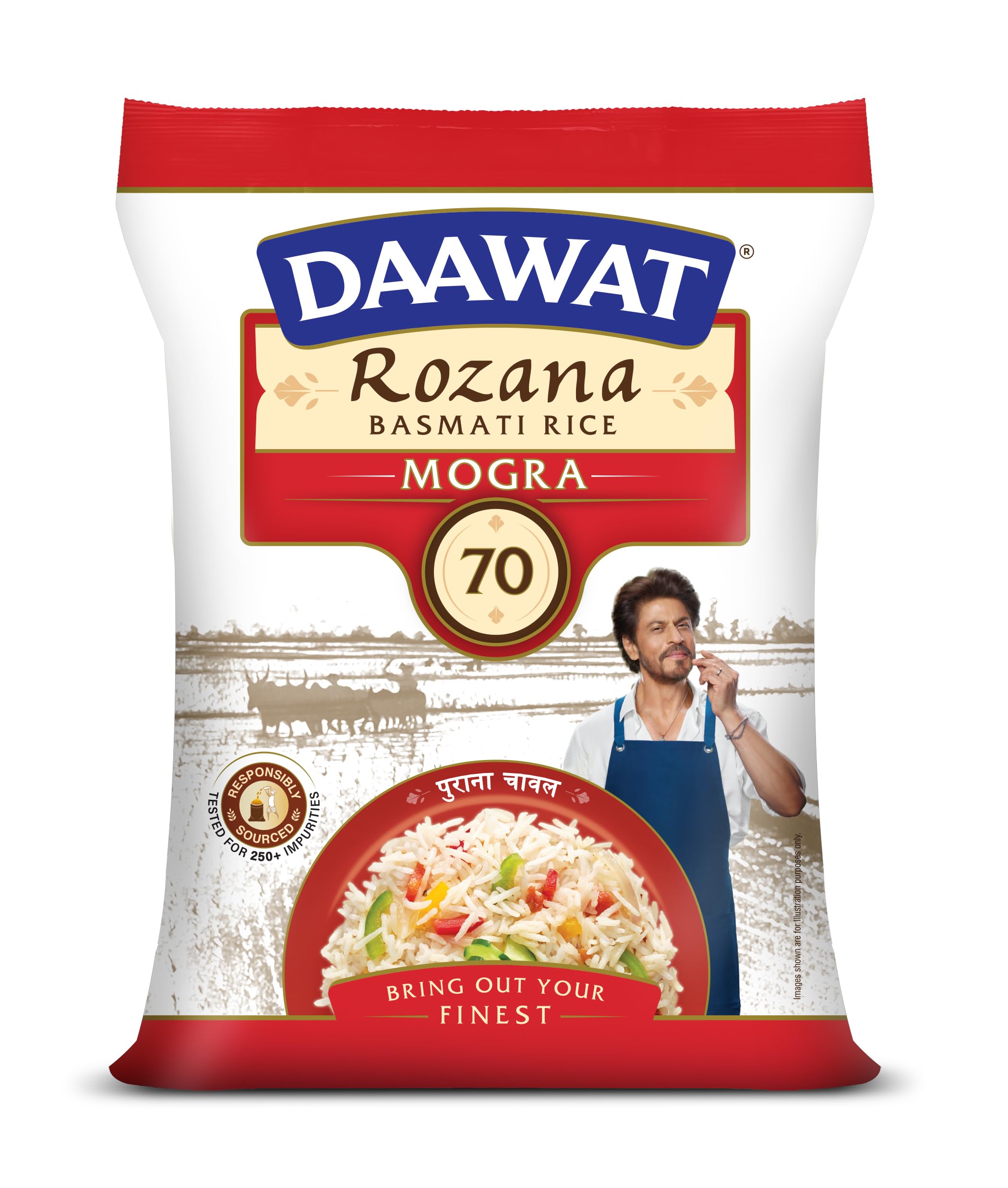 DAAWAT SEHAT/ROZANA MOGRA RICE 10KG-image-12