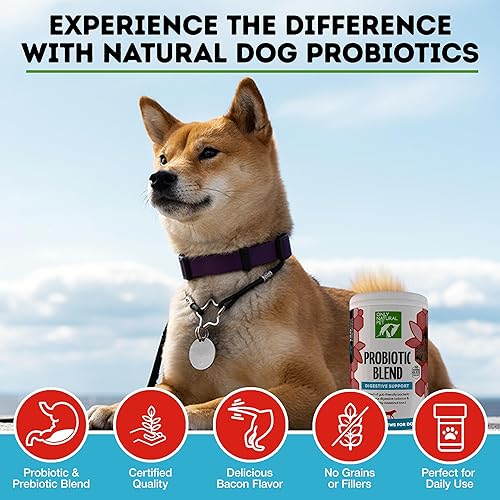 Miniatura 3 de Only Natural Pet Suplemento probiótico para perros y gatos, fórmula enzimática para la salud digestiva y intestinal, masticables digestivos para