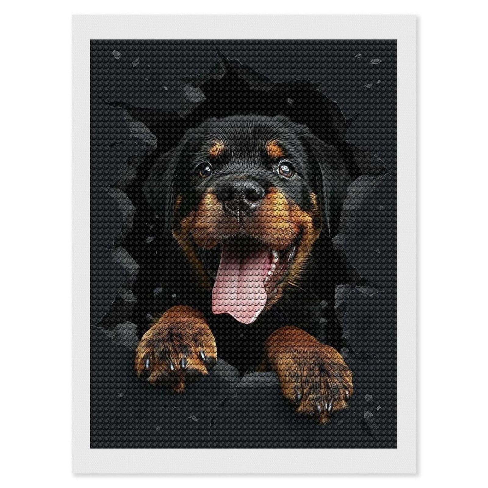 Junmoney Rottweiler(2) Diamond Painting Set 12"x16", Holiday Gift Idea, for Creative Relaxation, Fun Craft Experience, Vintage Style Decor