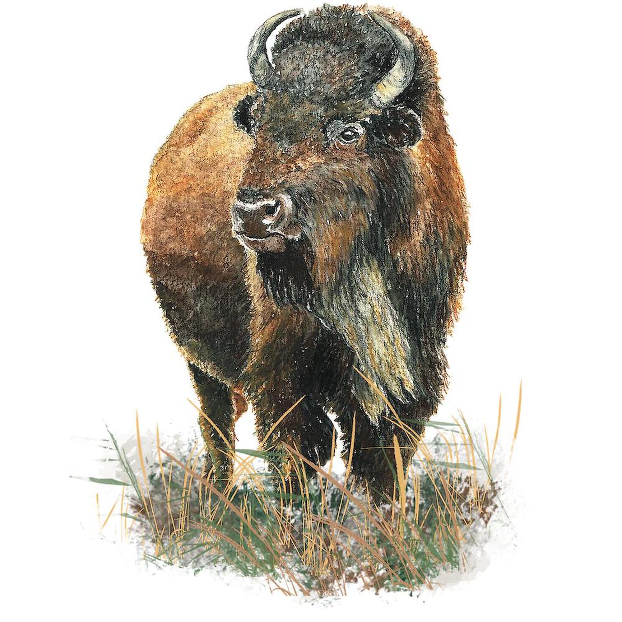 CafePress Watercolor Buffalo Bison Animal Art Hard Cover Journal Notebook, Personal Diary