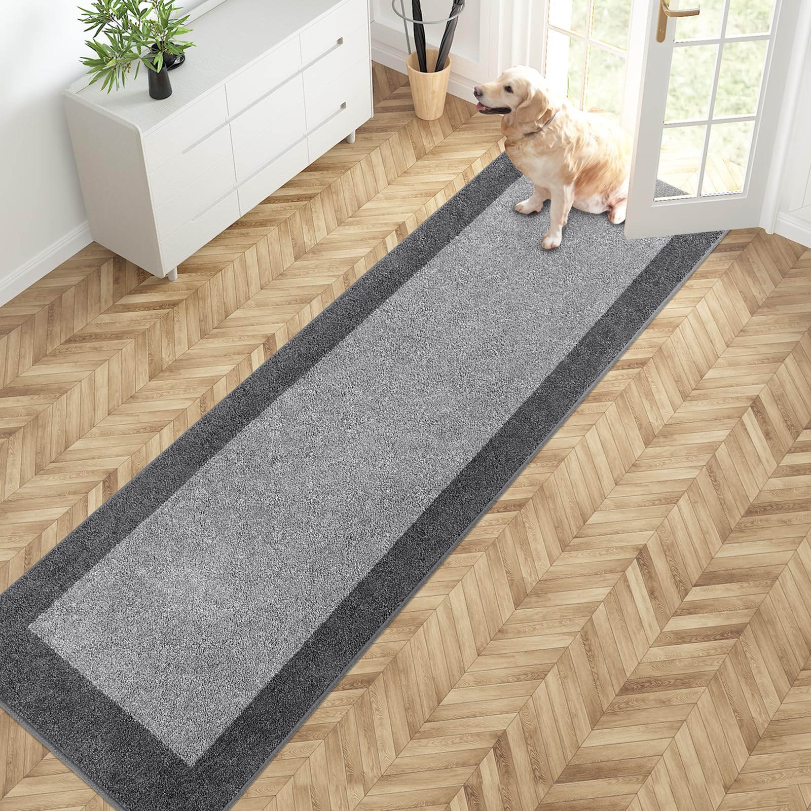 Tapis d'entrée super absorbant et grattoir pour chaussures et pattes
