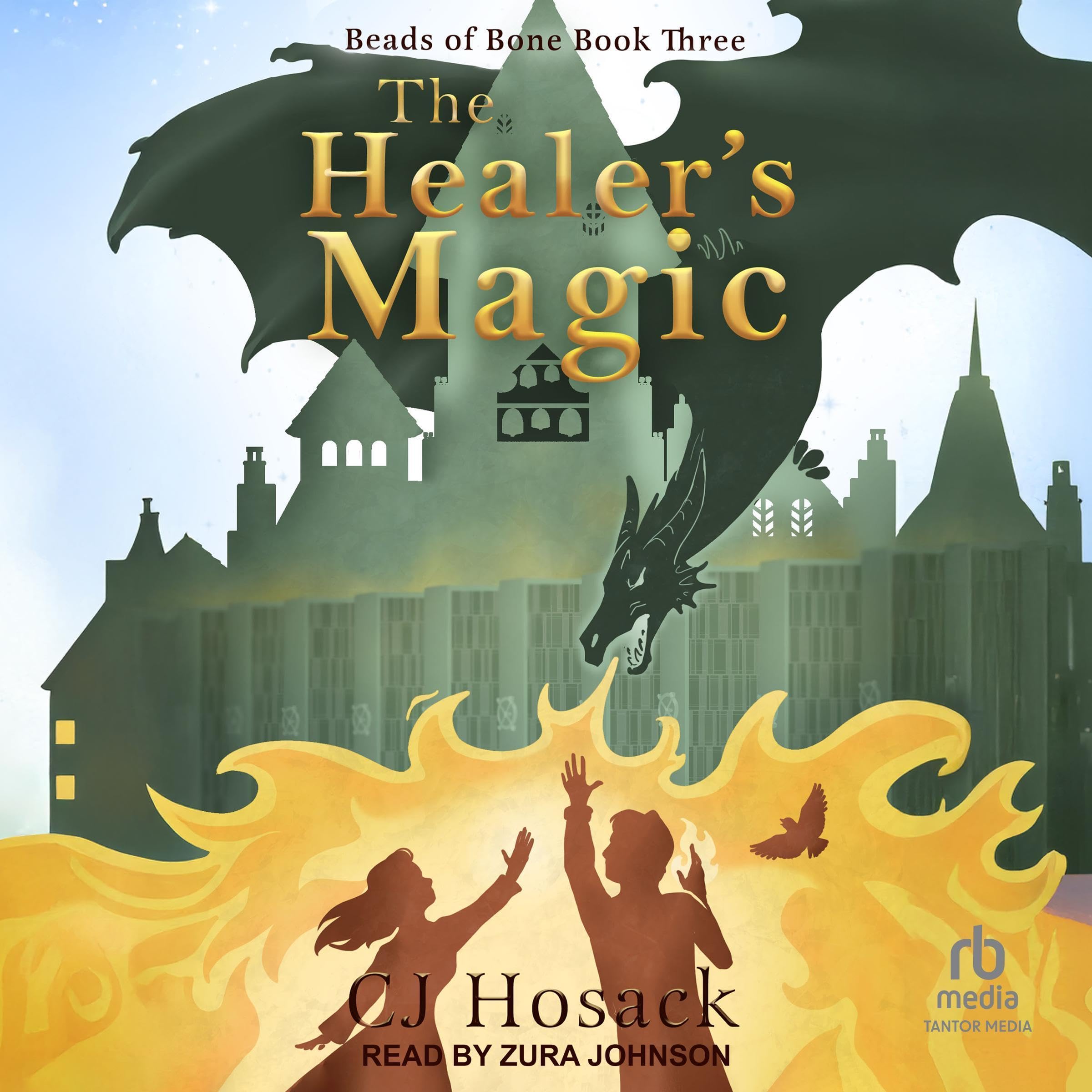 Cover art for The Healer's Magic