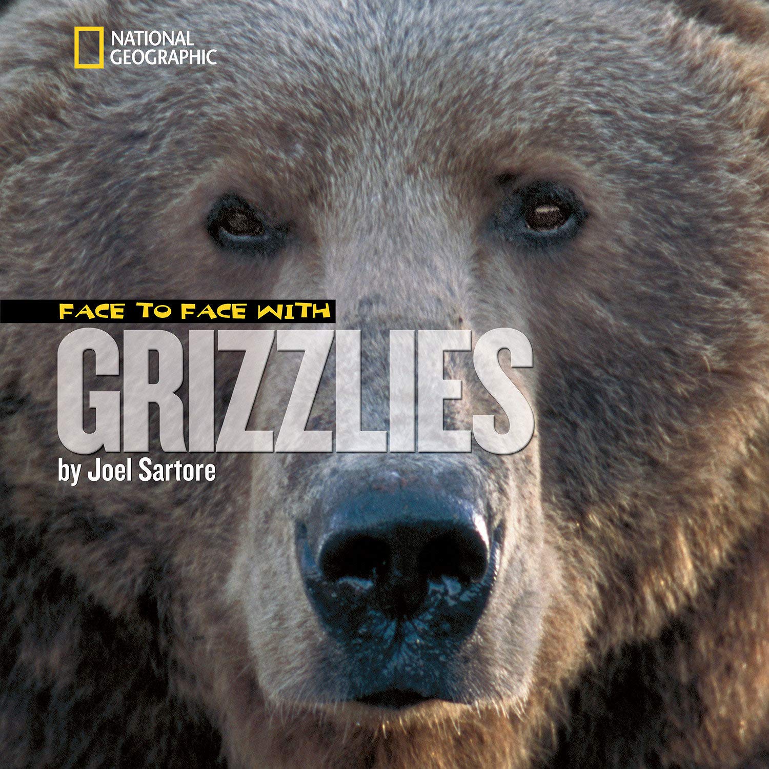 Face to Face with Grizzlies (Face to Face With Animals)