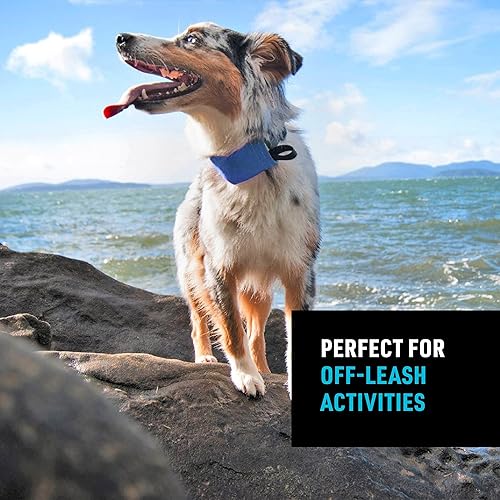 Miniatura 2 de Nite Ize Raddog - Collar todo en uno + correa, collar para perro con correa retráctil incorporada, azul, mediano de 16 a 18 pulgadas