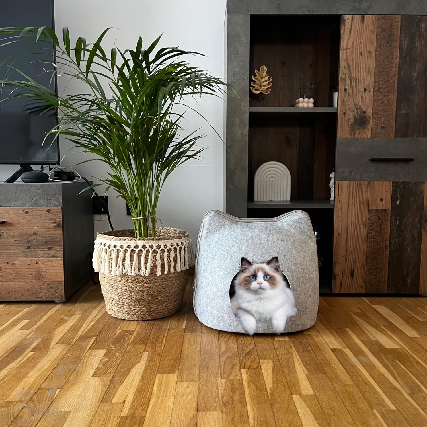 Cama Cueva Gato de Fieltro con Cremallera y Cojín Suave. Cama para Perros Pequeños. Cama para Gatos. 40x40x40 CM. Cat Bed.
