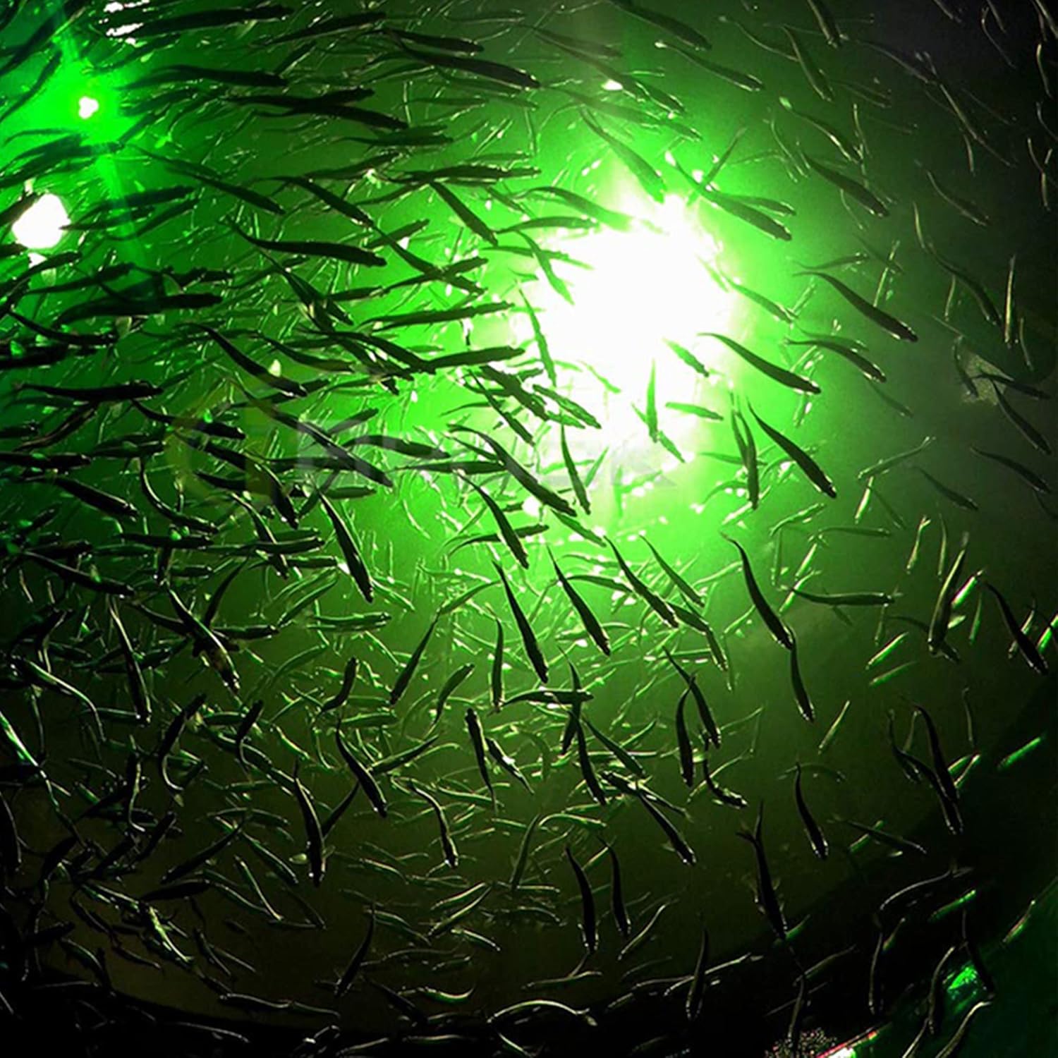 12V 20W IP68 Waterproof 180Led Green LED Underwater Fishing Finder Light,Night Fishing Light,Submersible Fishing Attracting Light in Deep Drop Water Ice Freshwater Saltwater