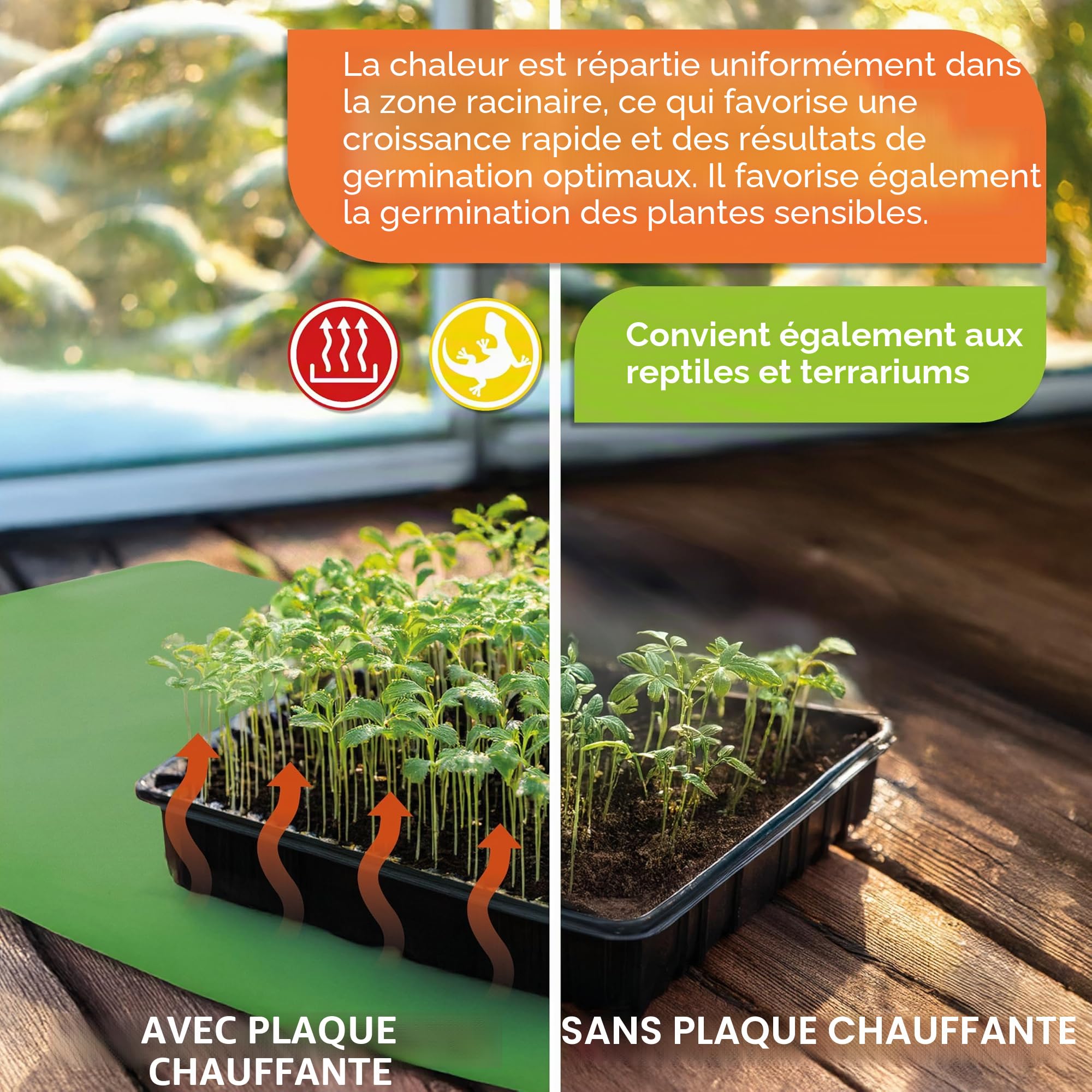Bio Green WP 025-035 Plaque chauffante 0, 25 x 0, 35 m 15 W
