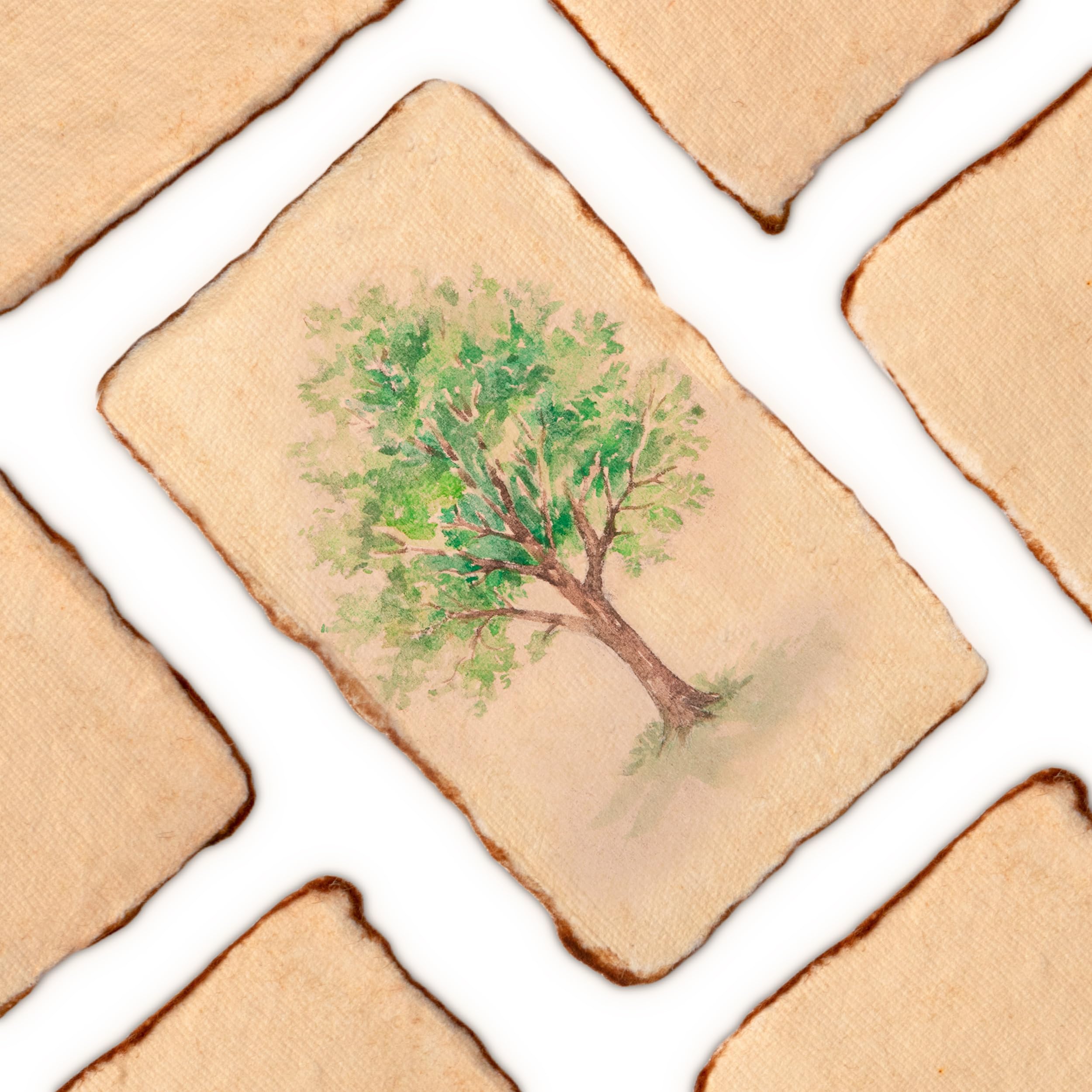 Cricut Wit Katoen papierwaren kopen? | Vergelijk de beste Cricut Wit Katoen papierwaren kopen? | Vergelijk de beste