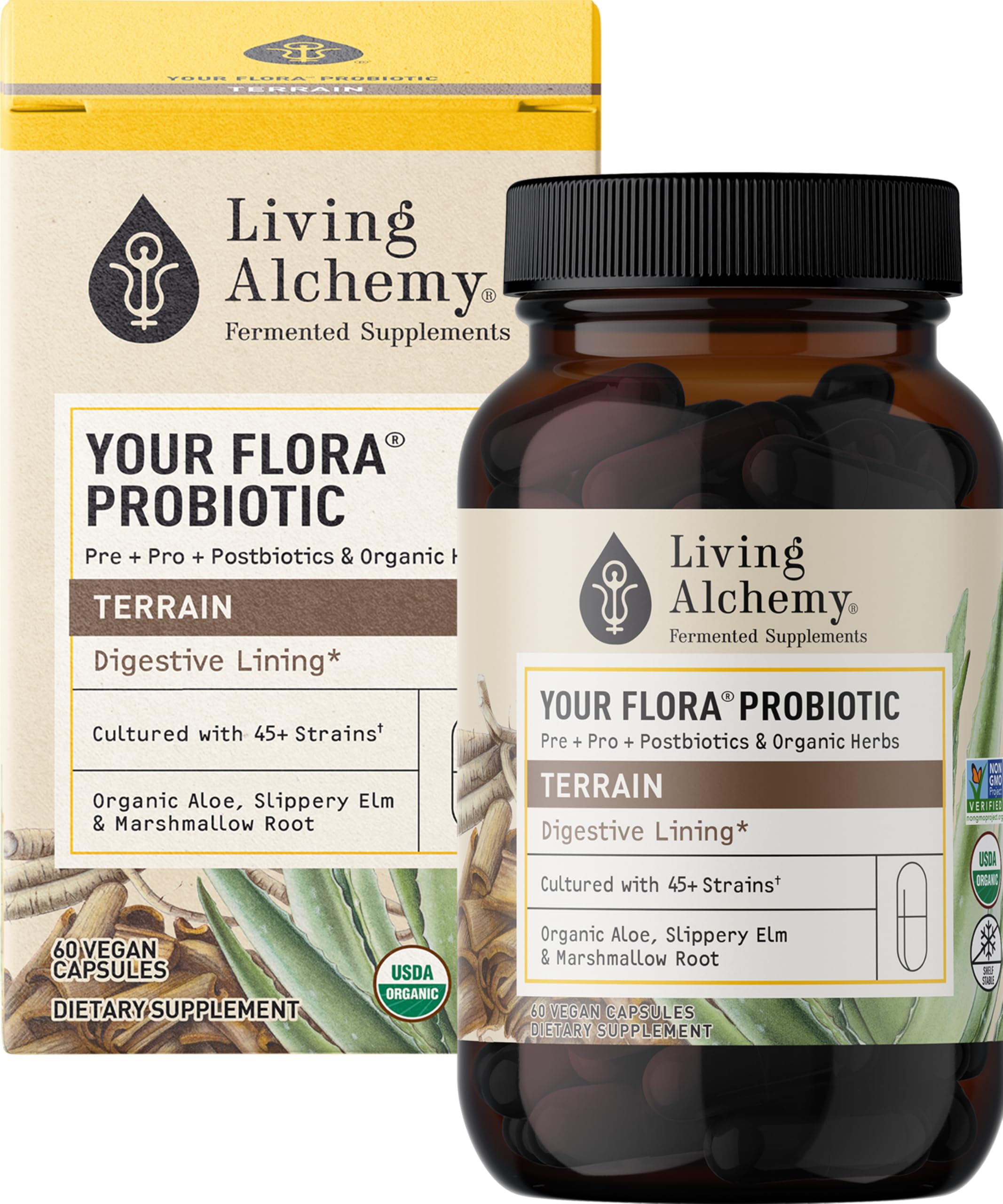 Your Flora Probiotic Terrain – Non-GMO Probiotics with Fermented Soybean, Aloe Vera, & Slippery Elm for Gut Balance & Digestion – Prebiotics, Postbiotics, Digestive Enzymes – Living Alchemy, 60 Pcs