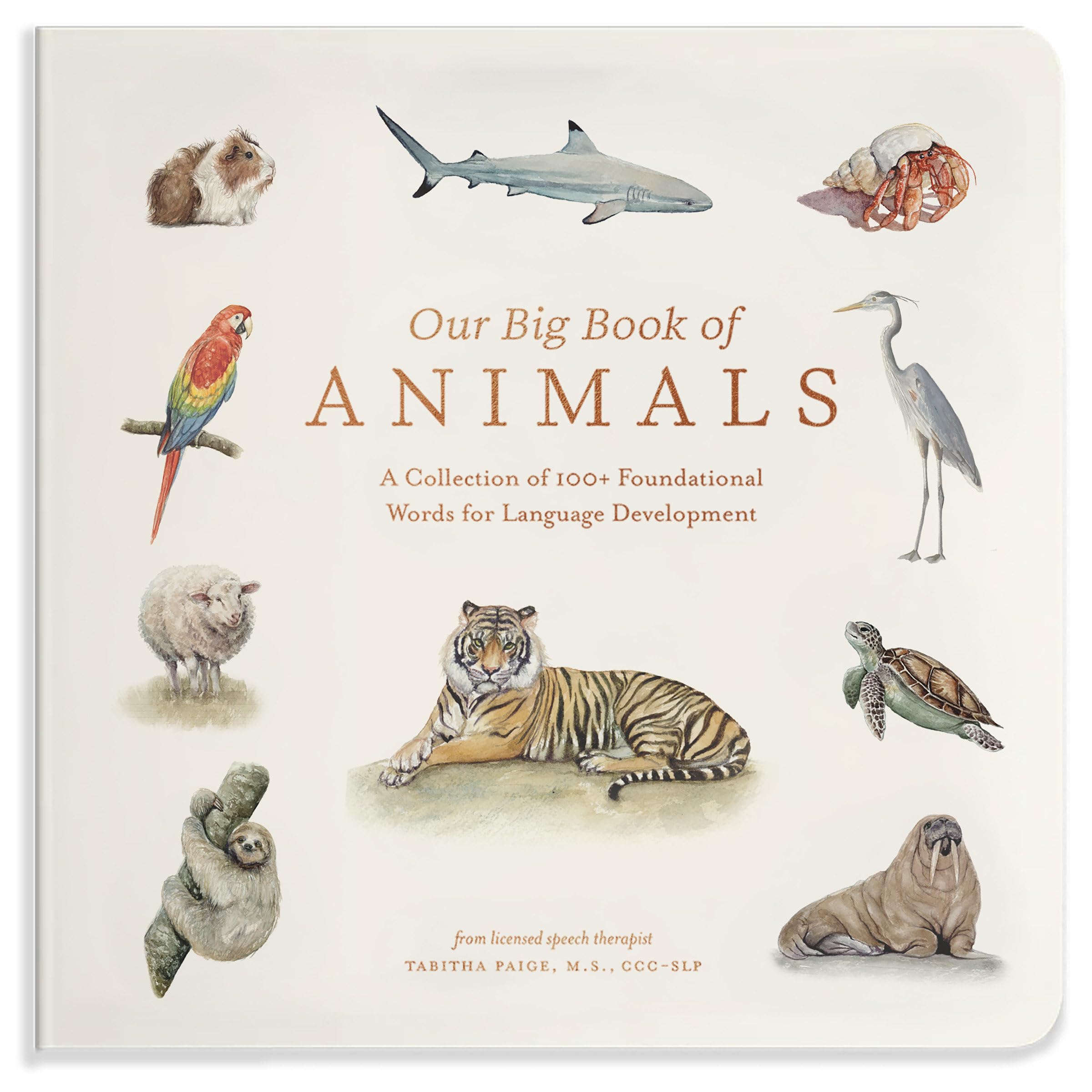Our Big Book of Animals - First 100 Animal Words for Language Development, including Farm, Jungle, Pets, Bugs, and More (Our Little Adventures Series)