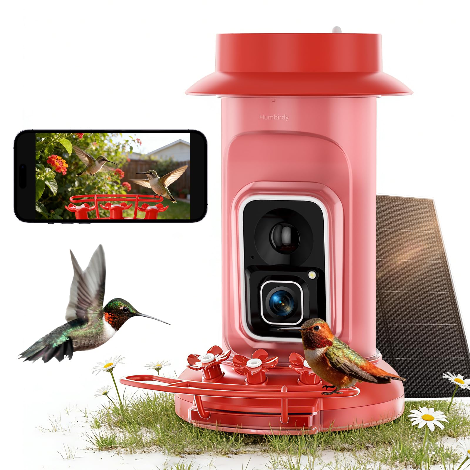 Humbirdy Hummingbird Feeder