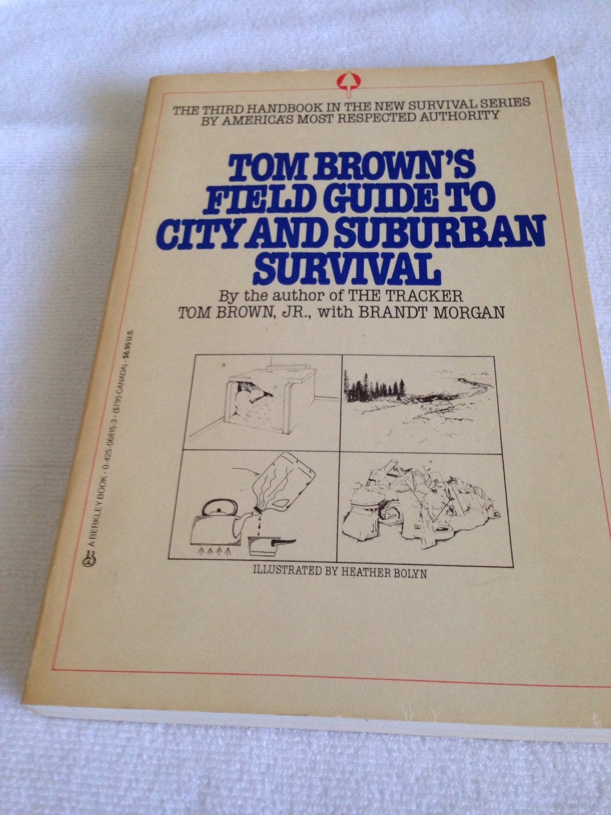 Buy Browns Gde City Tr — BookShops.in
