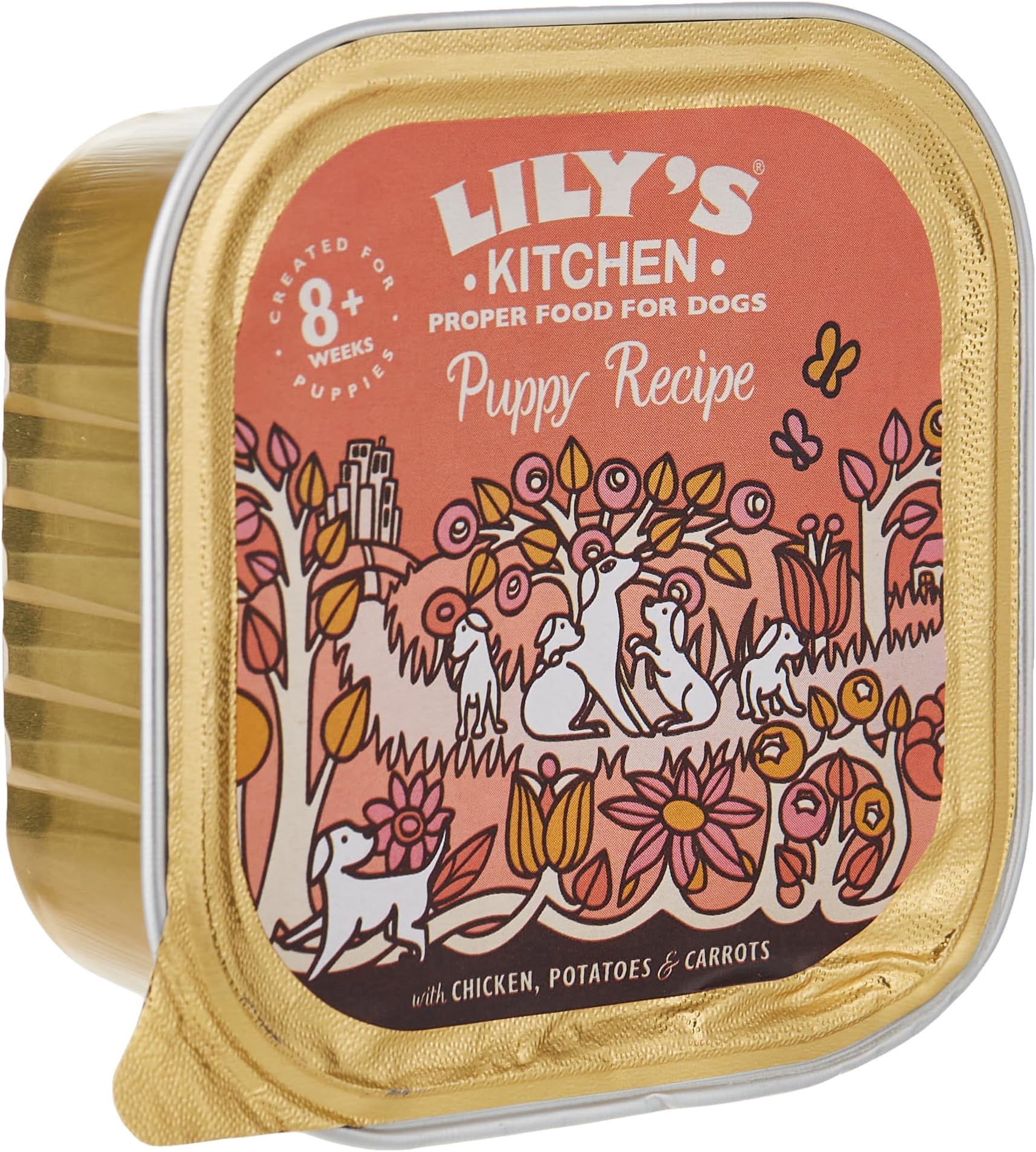 Chicken Recipe Puppy Food - 150G