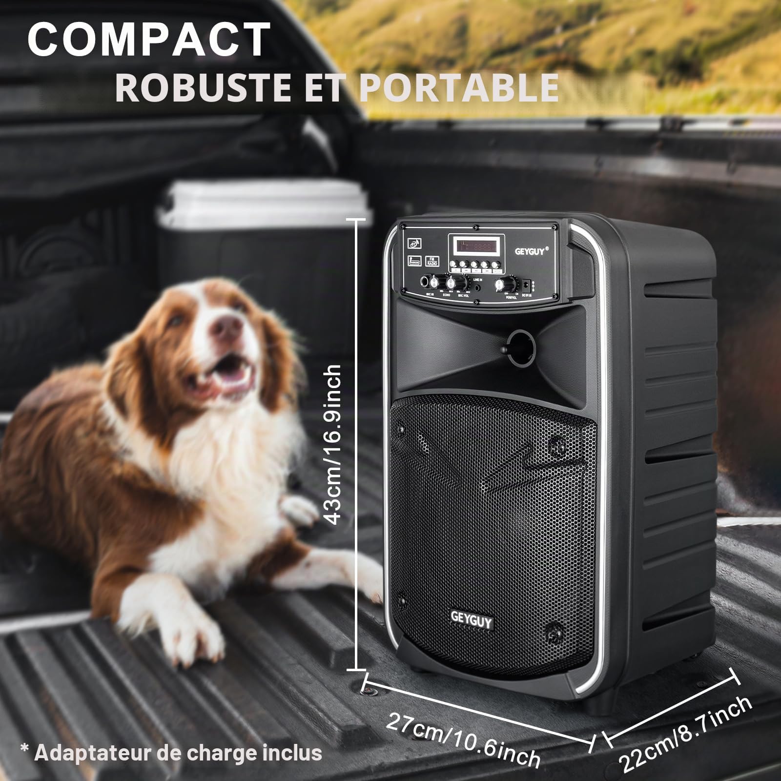Enceinte Bluetooth Portable, Enceinte Sono Karaoké avec Microphone, Télécommande et Batterie Rechargeable Intégrée, MP3/USB/SD, Voyants Lumineux Indicateur de Batterie LED