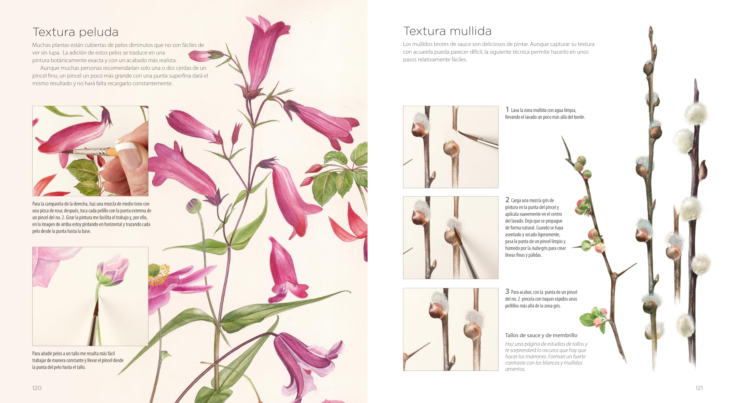 PINTURA BOTÁNICA: Aprende a pintar flores y plantas con acuarela