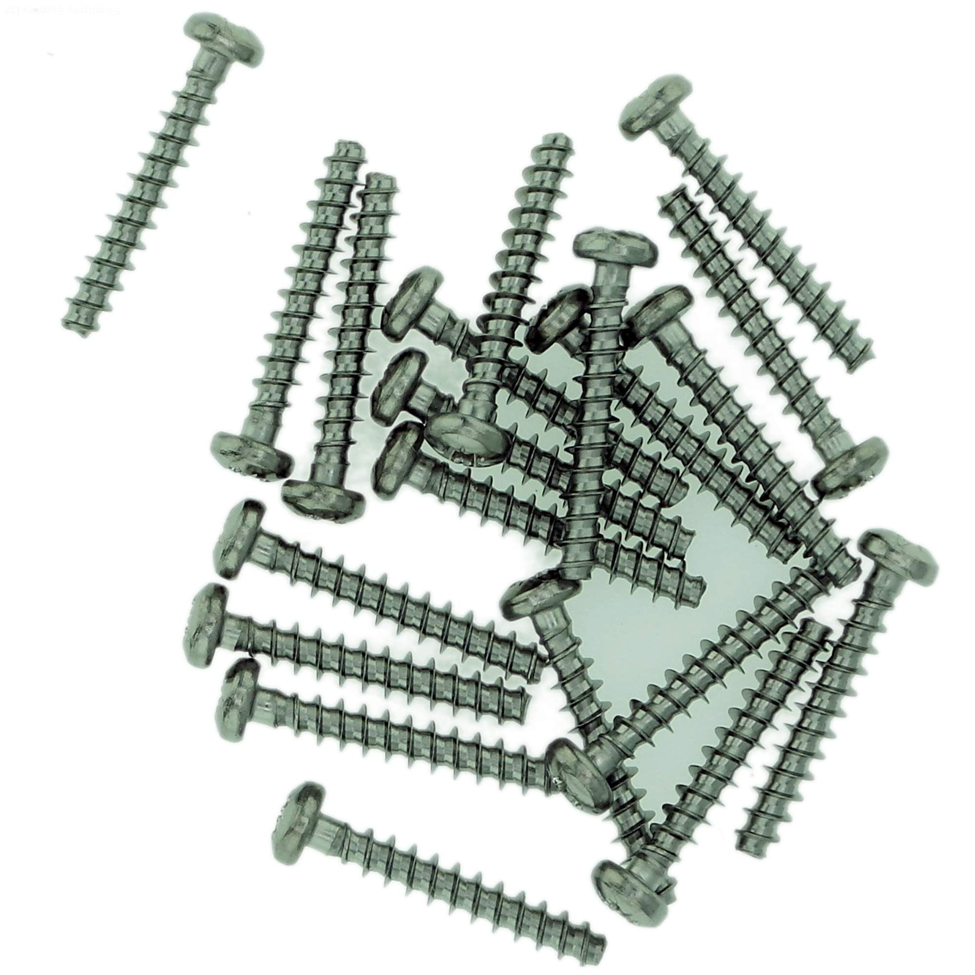 Singularity Supplies D4 (4Mm X 18Mm) Pozi Pan Screws For Plastic - Stainless Steel (A2) (Pack Of 20)