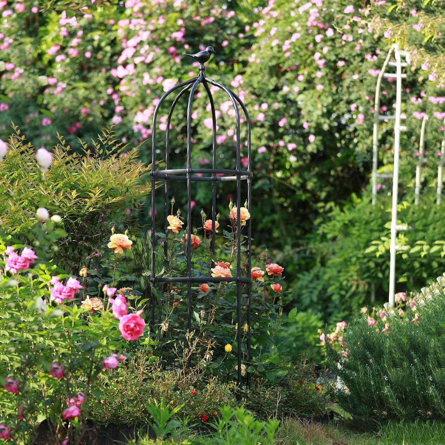 Amazon co jp 50x 180cm 50x amazon-co-jp-50x-180cm-50x