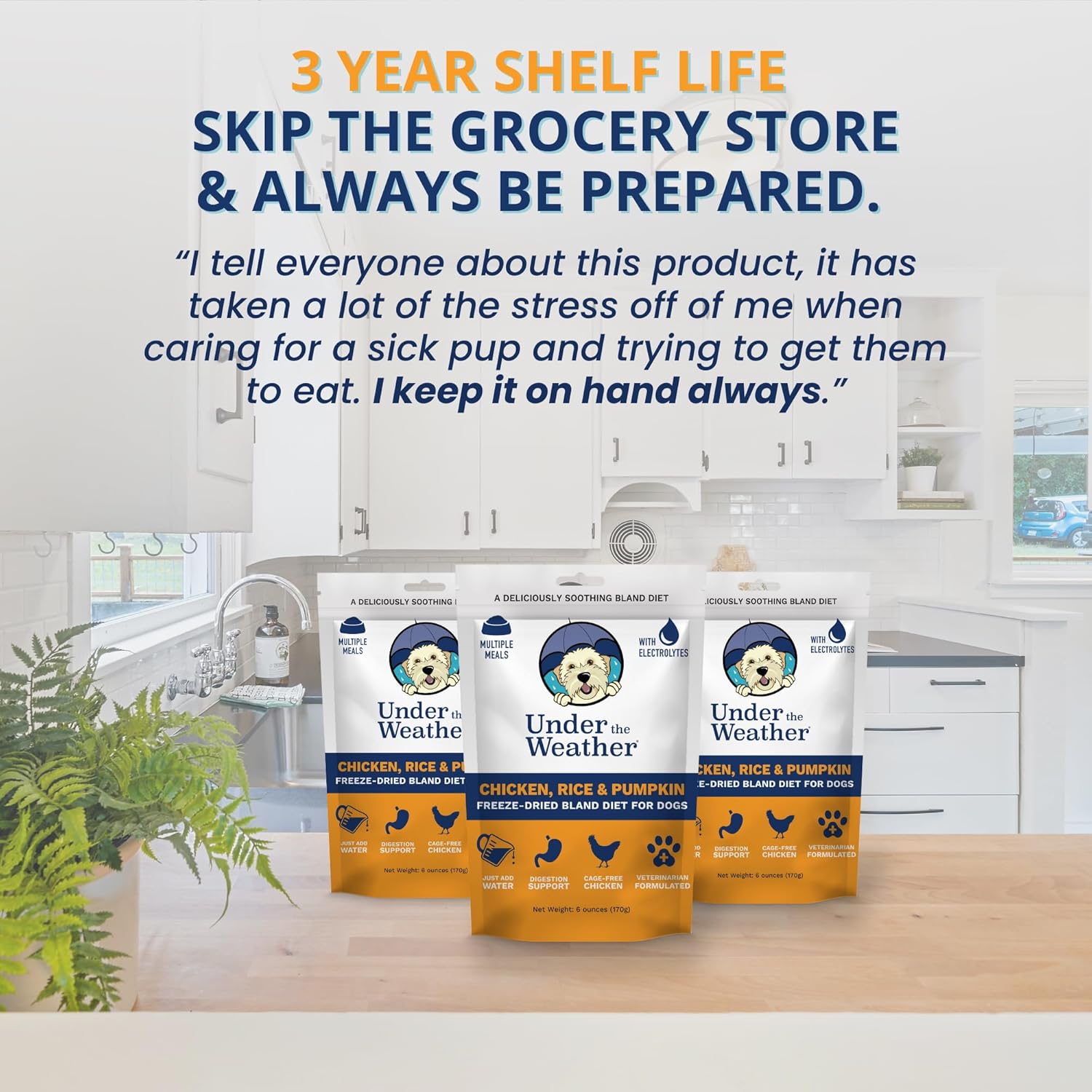 Under the Weather Bland Diet for Dogs | Easy to Digest for Sick Dogs |Always Be Ready | Contains Electrolytes - All Natural Freeze Dried 100% Human Grade Meats | 2 Pack - Rice, Chicken & Pumpkin - 6oz