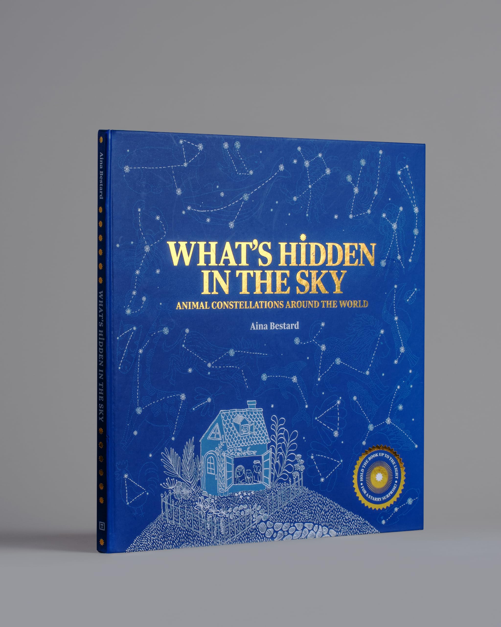 What's Hidden in the Sky: Animal Constellations Around the World (shine a light books for children; kids interactive books)