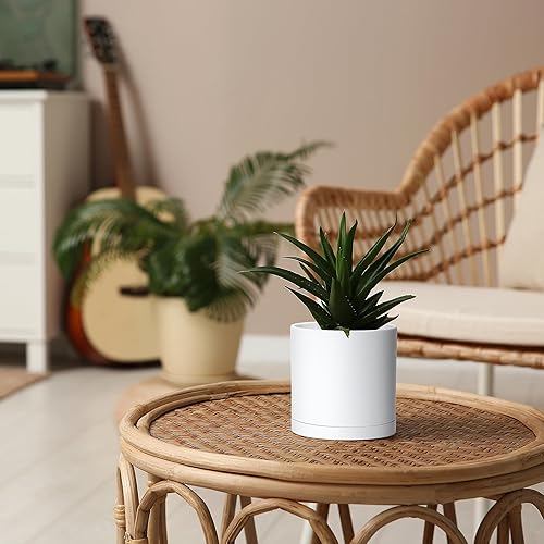 Miniatura 28 de D'vine Dev Paquete de 2 macetas de plástico modernas de 6.5 pulgadas, macetas de jardín pequeñas para plantas con agujeros de drenaje y platillos