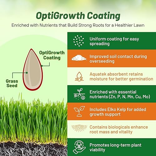 Miniatura 4 de Outsidepride Combat Extreme Southern Zone Césped Semillas de césped tipo festuca y mezcla híbrida Bluegrass de 25 lb
