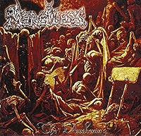 Vista 1 de The awakening