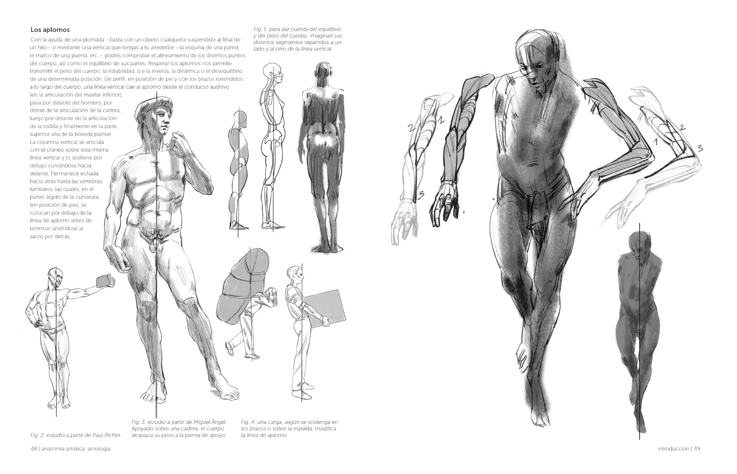 Anatomía artística: Antología