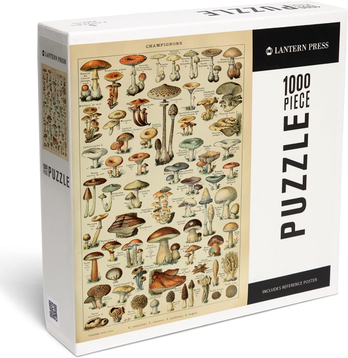 Mushrooms, C, Vintage Bookplate, Adolphe Millot Artwork (1000 Piece Puzzle, Challenging Jigsaw Puzzle for Adults, Made in USA)