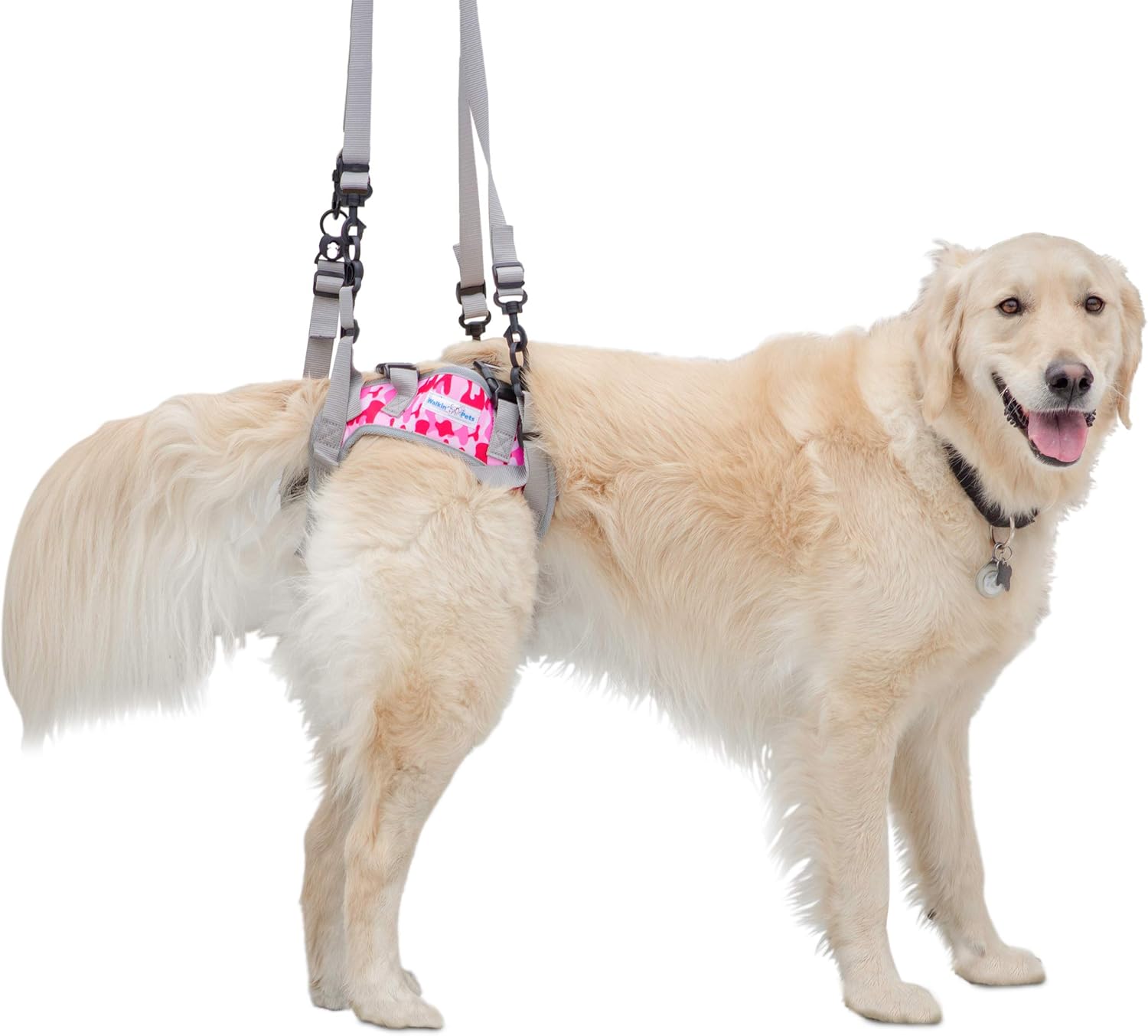Walkin’ Warrior Rear Dog Harness for Mobility, Adjustable