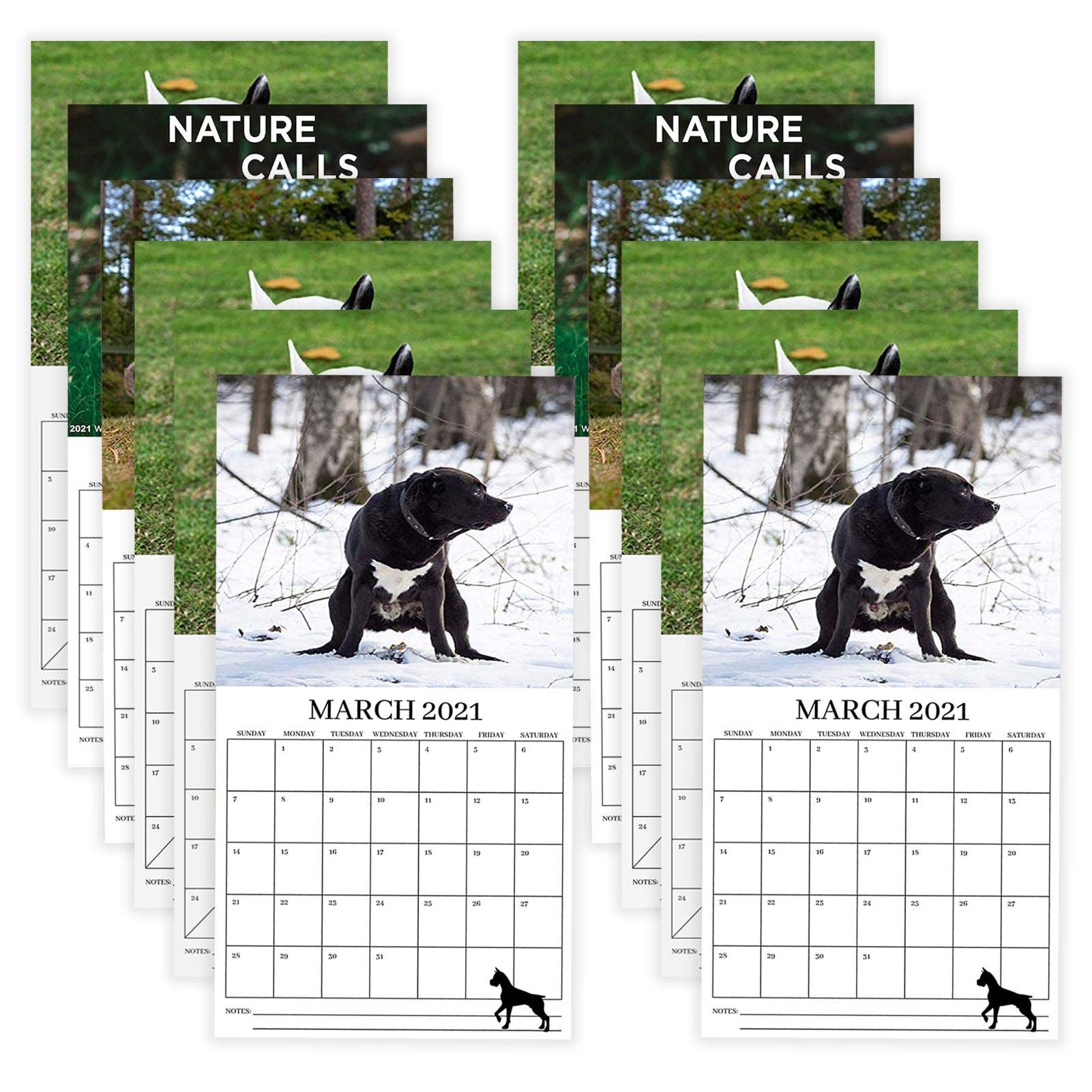 Buy 2021 Calendar, 2021 Art Calendar, 2021 Wall Calendar, 2021 Calendar, 2021 Wall Calendar