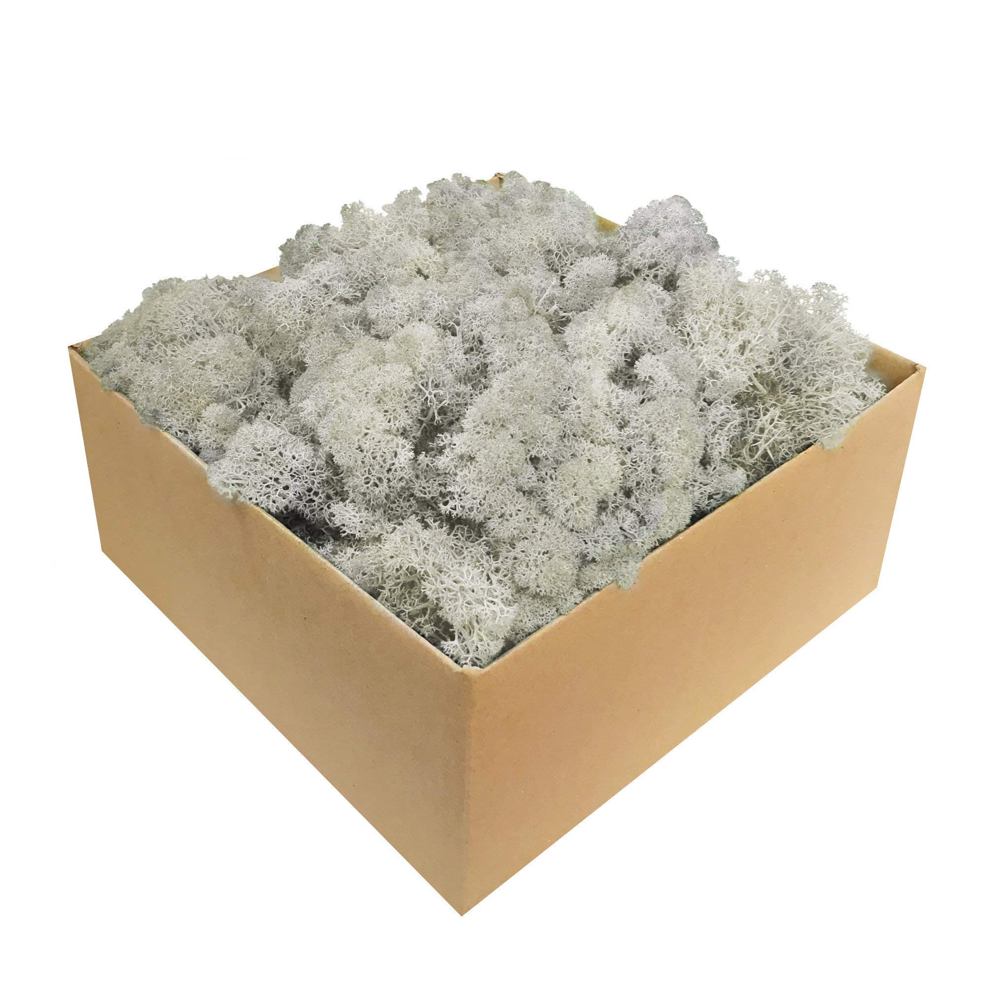 VITALIS IJslands mos keelpastilles 40 stuks aanbieding bij ALDI VITALIS IJslands mos keelpastilles 40 stuks aanbieding bij ALDI