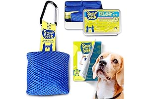 Race&Herd Sniff and Seek Dog Sniffing Toys: Engage Your Puppy's Natural Instincts