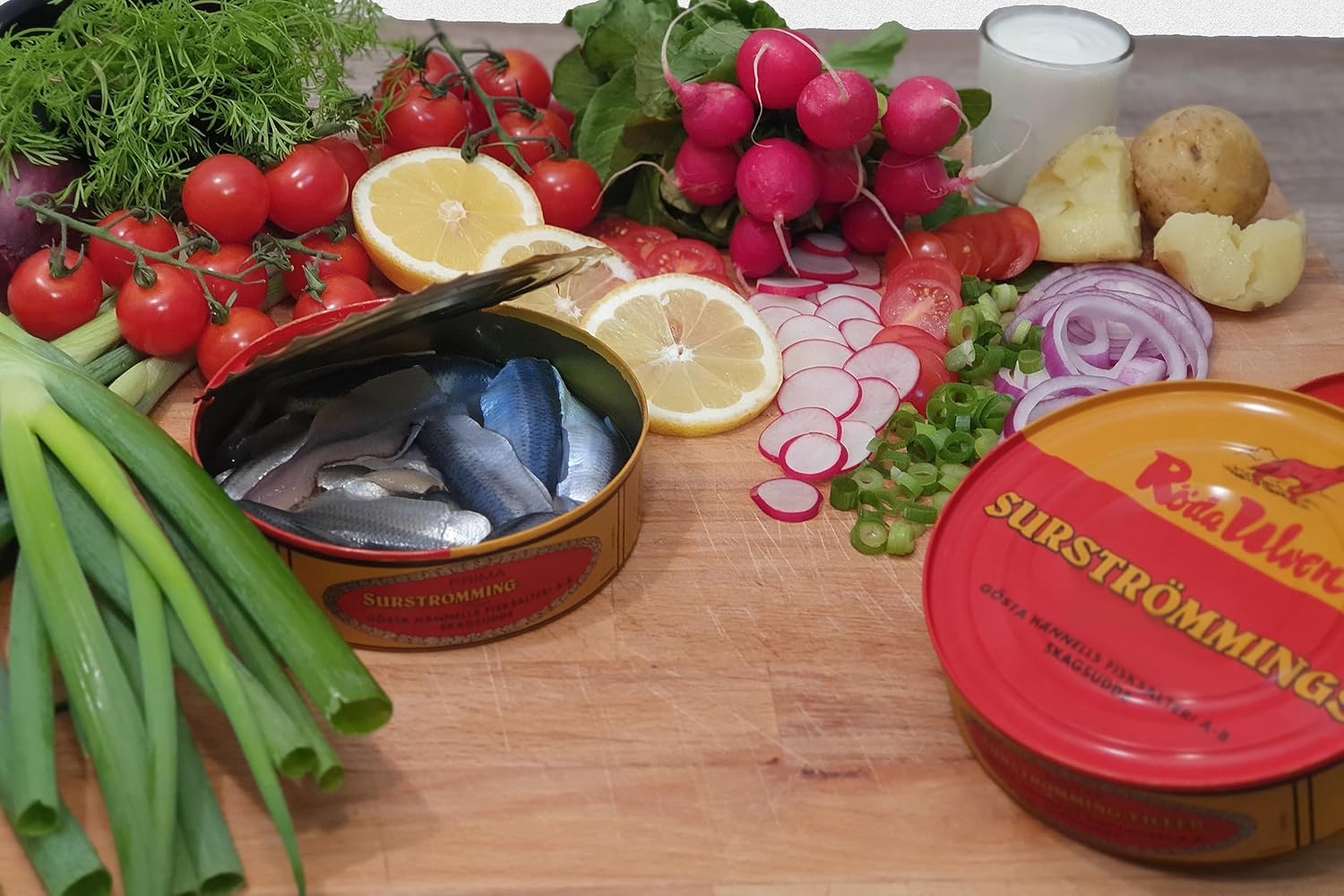 Surströmming Fermented Pegs in Traditional Tin