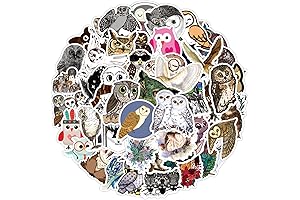 50 PCS Cartoon Owl Stickers Pack for Kids Teens, Cute Kawaii Vinyl...