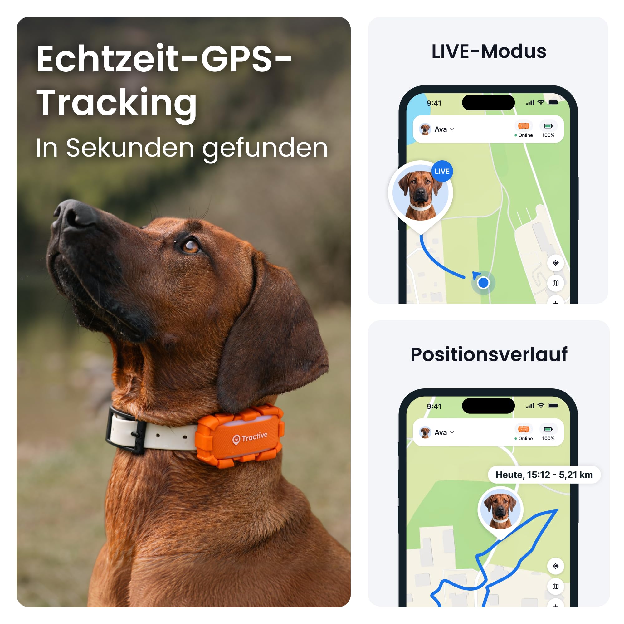 Tractive XL Adventure Smarter Hunde GPS Tracker | Modell 2026 | Großer Akku | Live-GPS-Ortung | Weglaufalarm & Gesundheitswarnungen | Überwachung der Vitalwerte | Empfohlen von Martin Rütter (Orange)