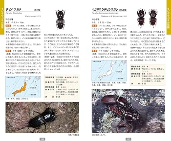 Amazon.co.jp: 日本のクワガタムシ・カブトムシ観察図鑑: 日本に
