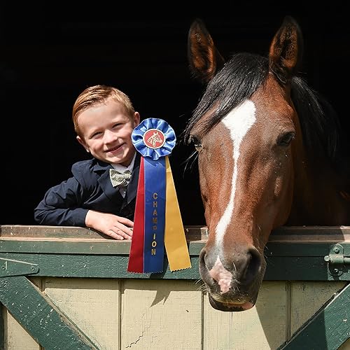 Miniatura 2 de Hodges Badge Company Champion & Reserve Champion Rosette Award - Juego de 2 cintas - Fabricado en Estados Unidos