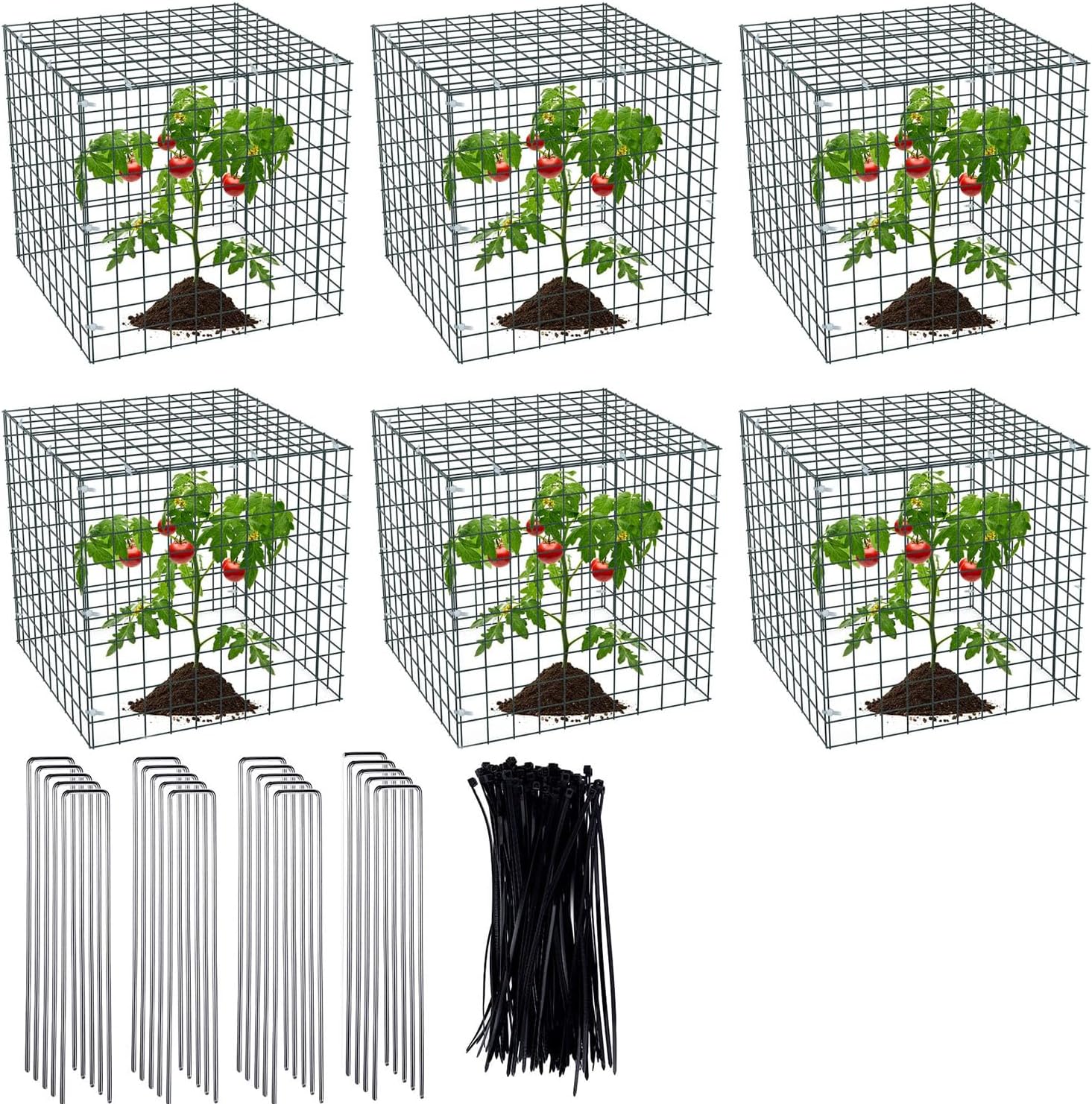 6 Pack Small Wire Plant Protector for Garden, Chicken Wire