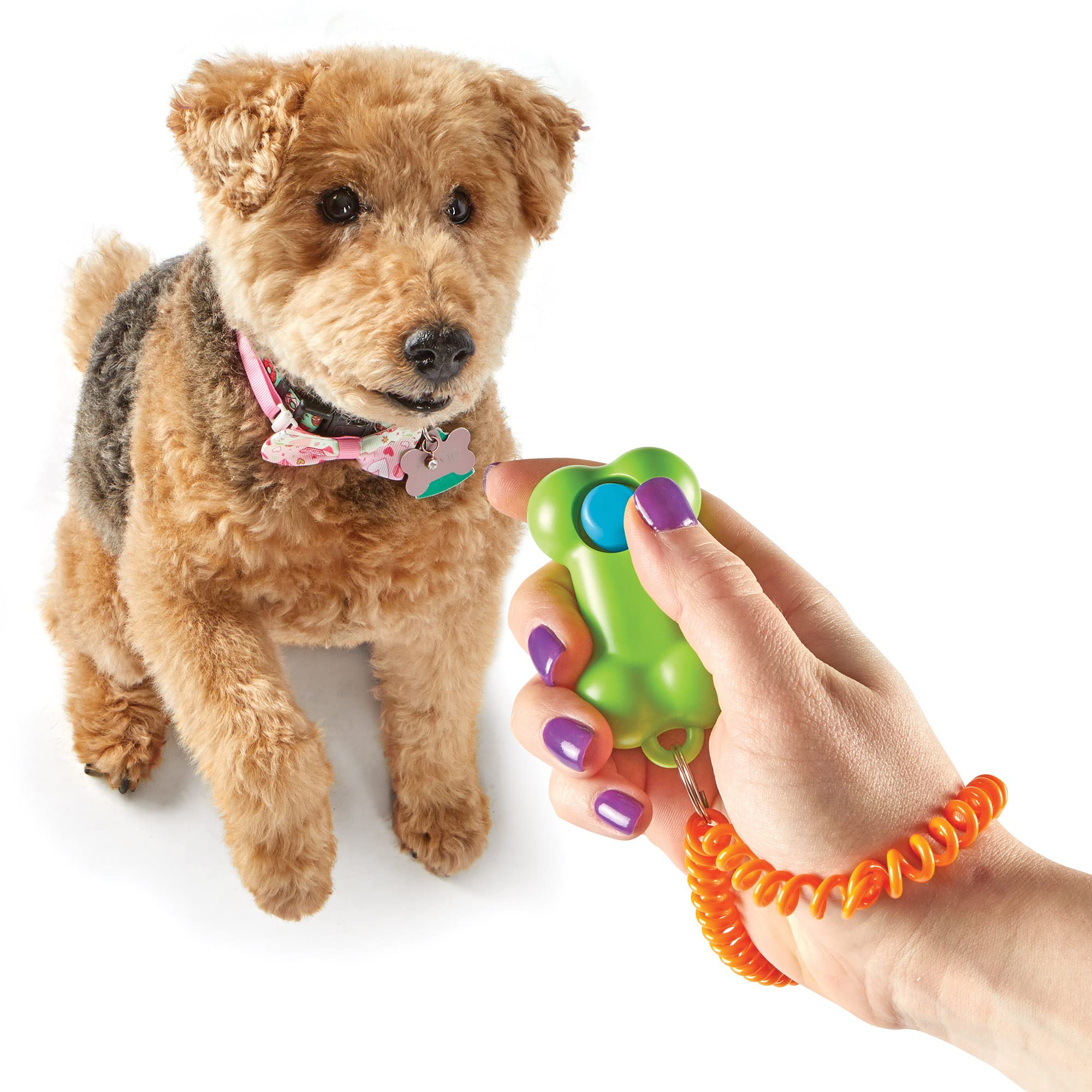 BrightKins Clicker di Addestramento Cane Intelligente: Osso, Clicker di addestramento per Cani con Braccialetto Flessibile, Soluzioni per l'addestramento e Il comportamento dei Cani, 1 Pezzo