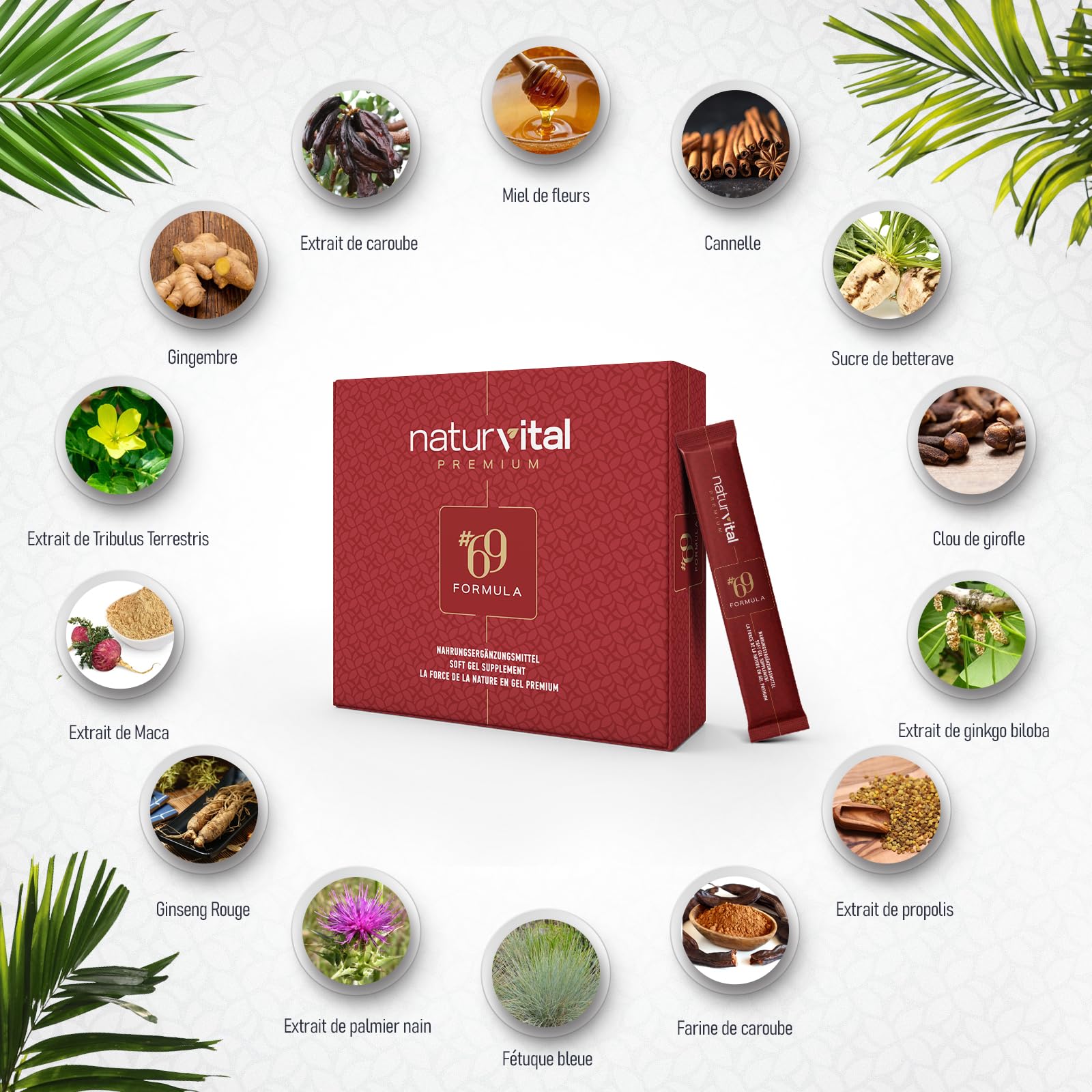 Naturvital Premium 69 Formula, Miel Aphrodisiaque Homme 12x12g Stick, Extra Fort pour Hommes Actifs, Effet Immédiat, Maca, Ginseng-Extrakt & Tribulus Terrestris Gel (1 Pièce)