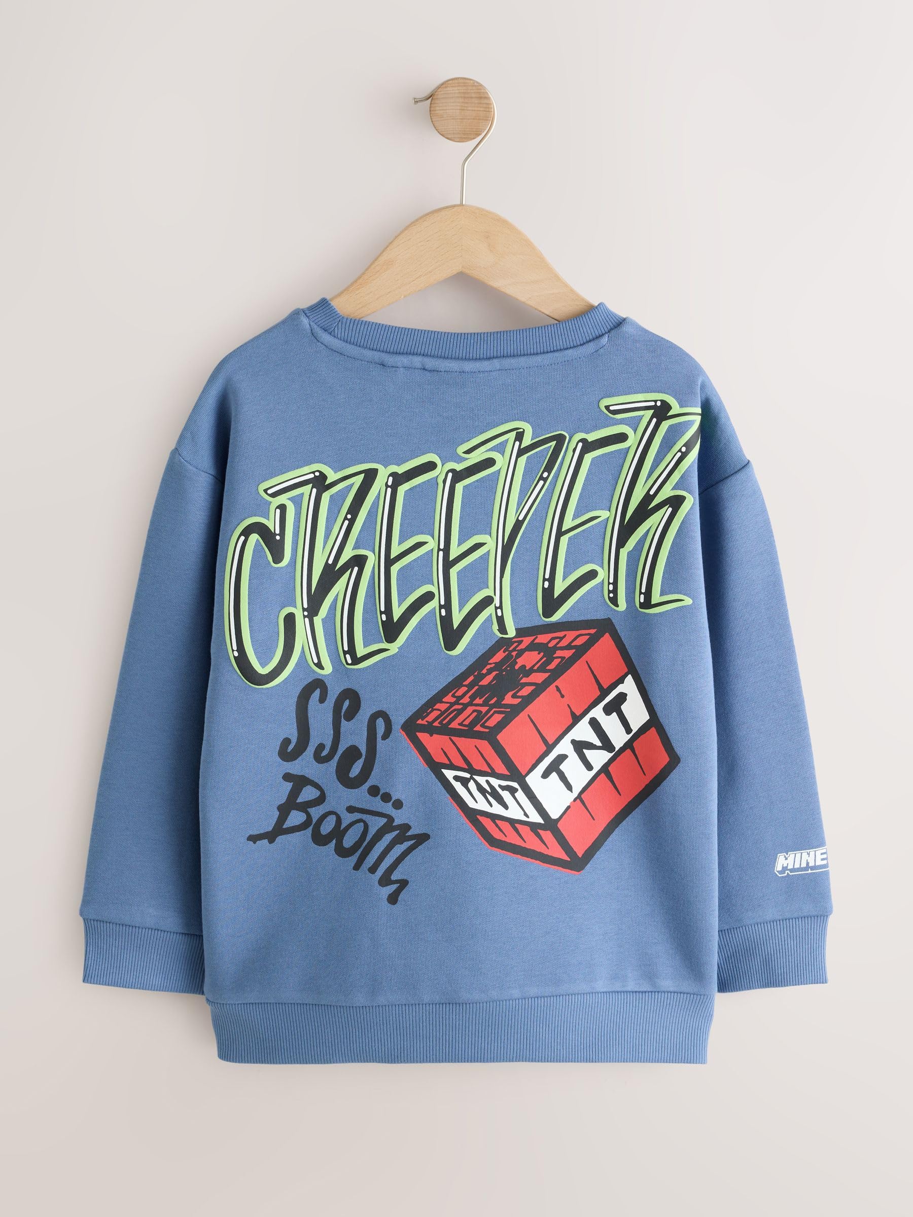 NEXT Ragazzo Felpa con Cappuccio Girocollo Minecraft