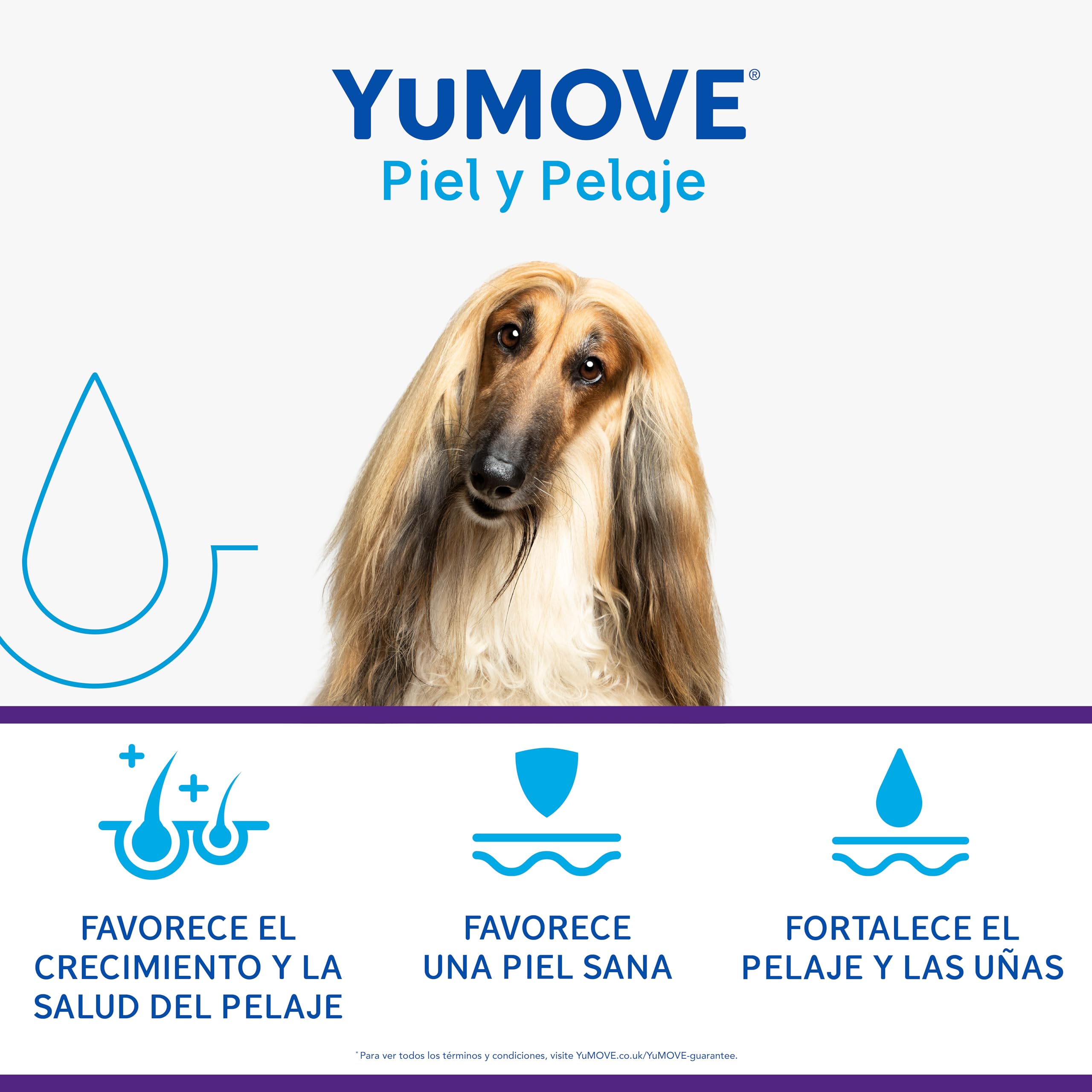 Yumove Piel Y Pelaje para Perros, 180 Dosis Uñas & Cuidado Cutáneo Diario | Zinc, Biotina, Vitaminas A Y C, Favorece Una Piel Y Un Pelaje Saludables, Espolvorear Sobre La Comida, Ingredientes Naturales
